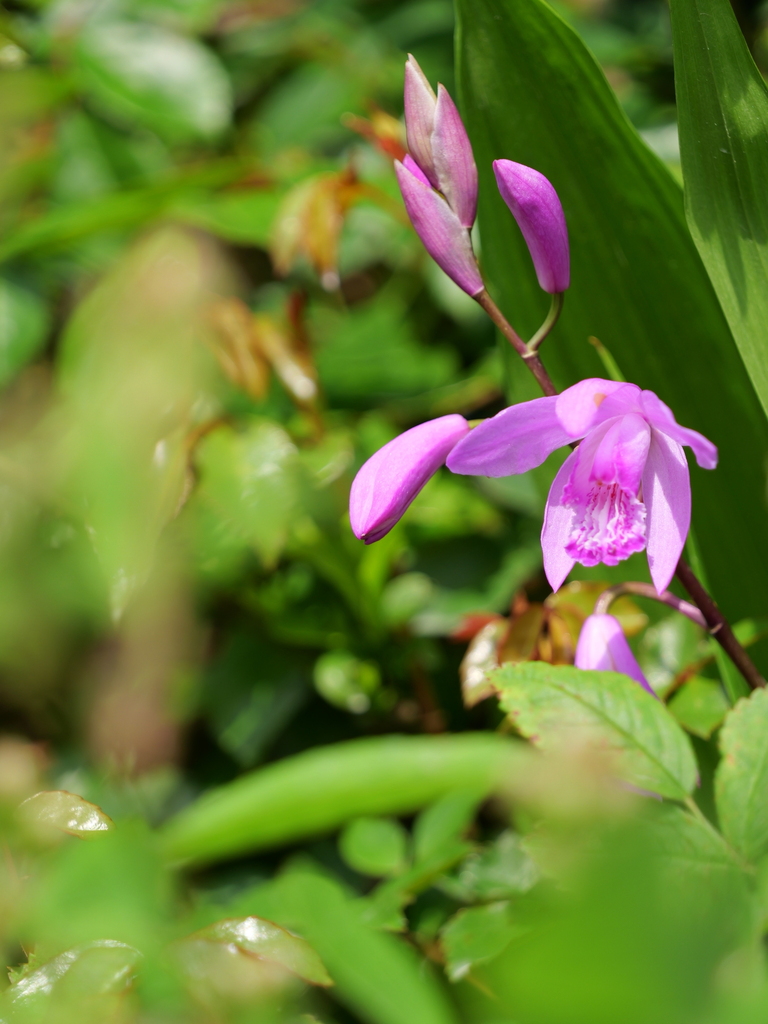 2025-04-21 07_29№(0137).JPG