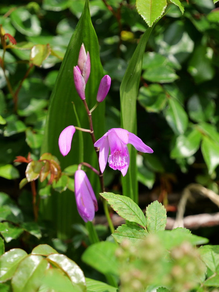 2025-04-21 07_29№(0138).JPG
