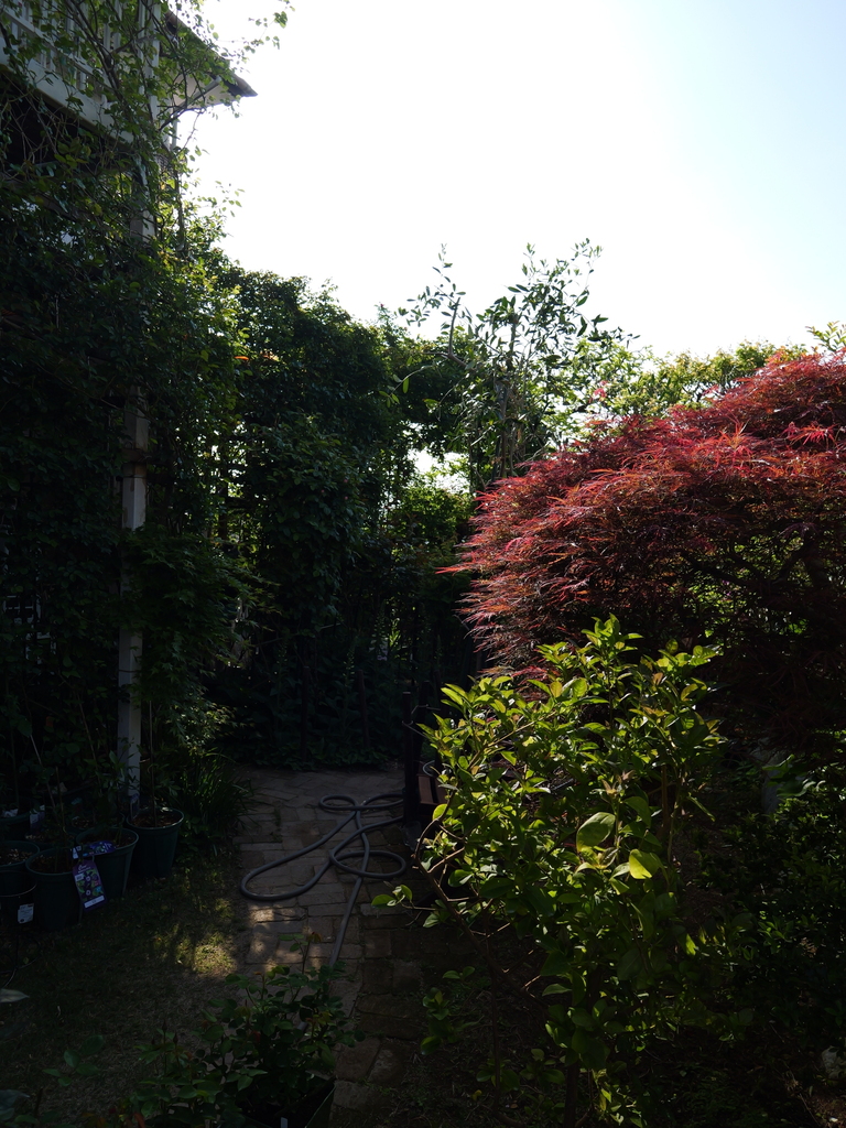 2025-04-21 07_31№(0172).JPG