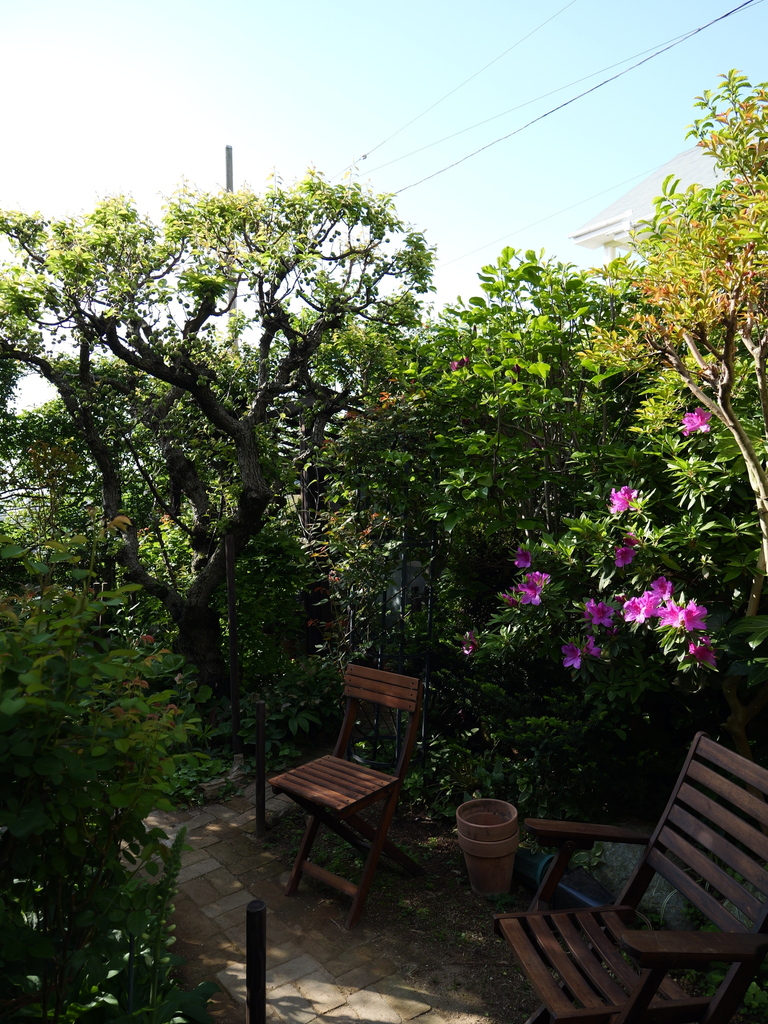 2025-04-21 07_32№(0202).JPG