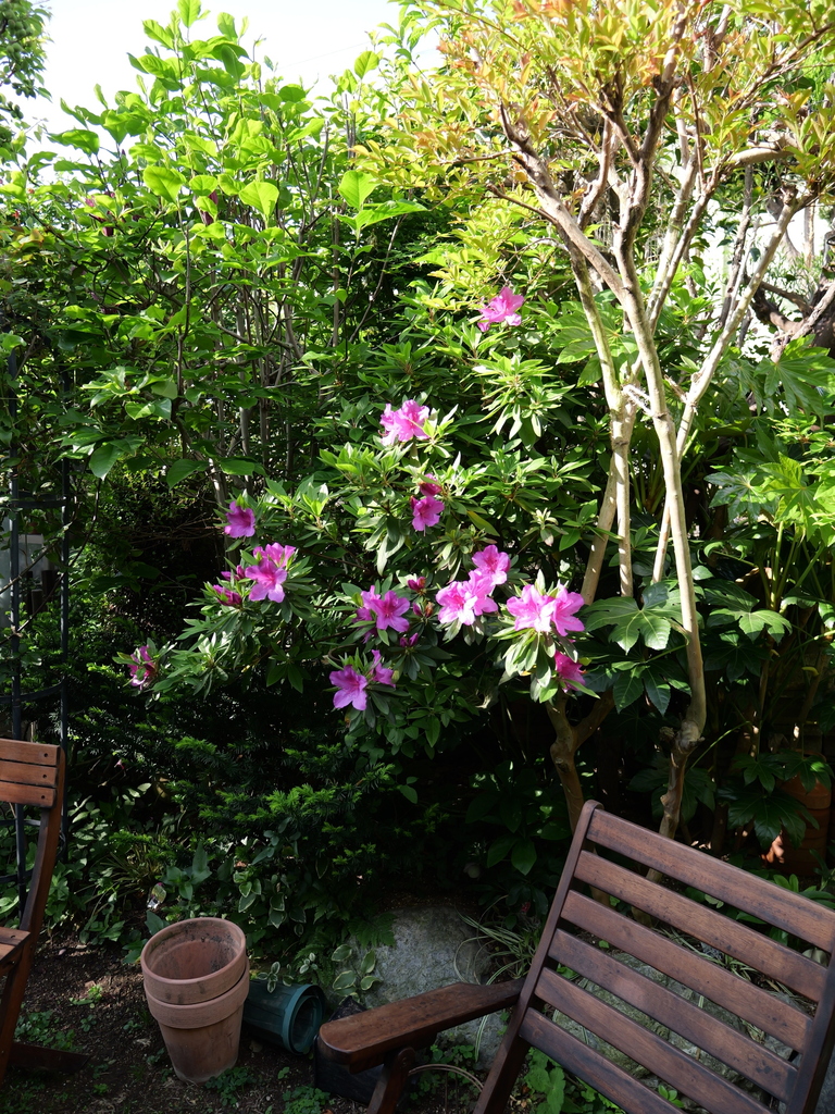 2025-04-21 07_32№(0203).JPG