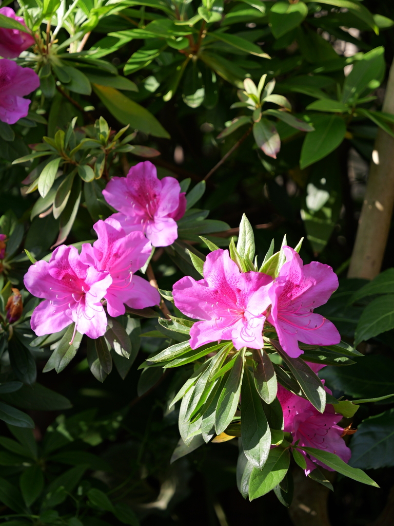 2025-04-21 07_32№(0205).JPG