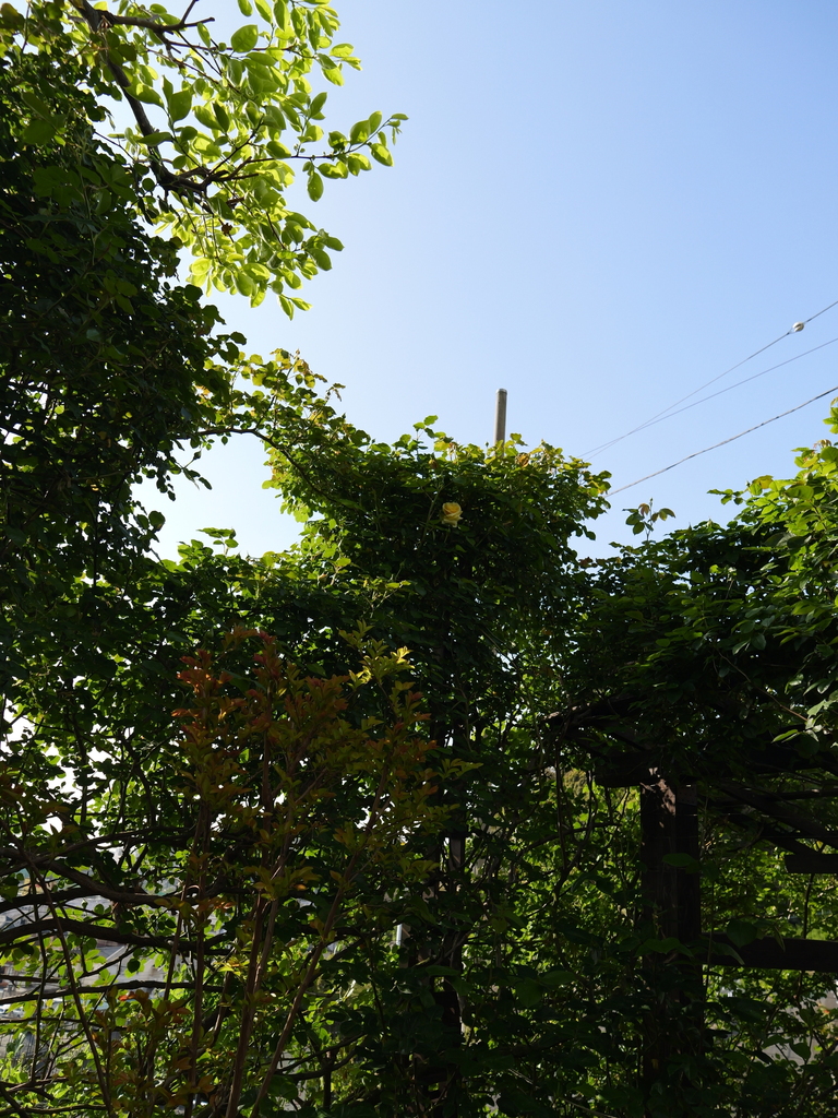 2025-04-21 07_32№(0212).JPG