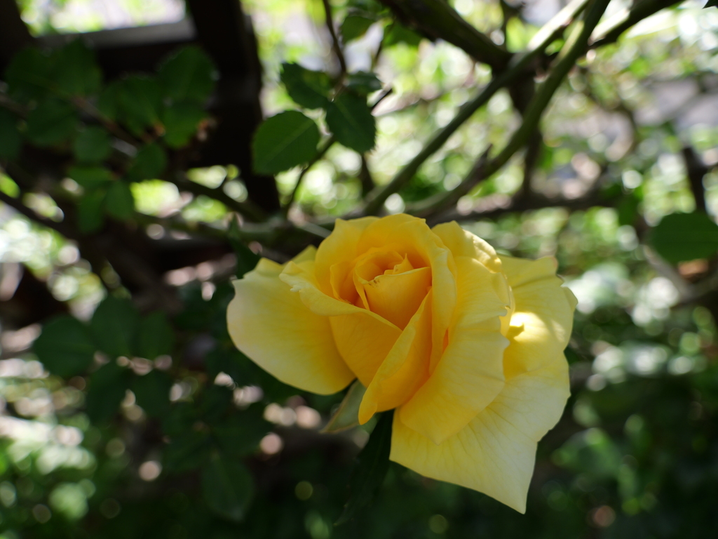 2025-04-21 07_33№(0225).JPG