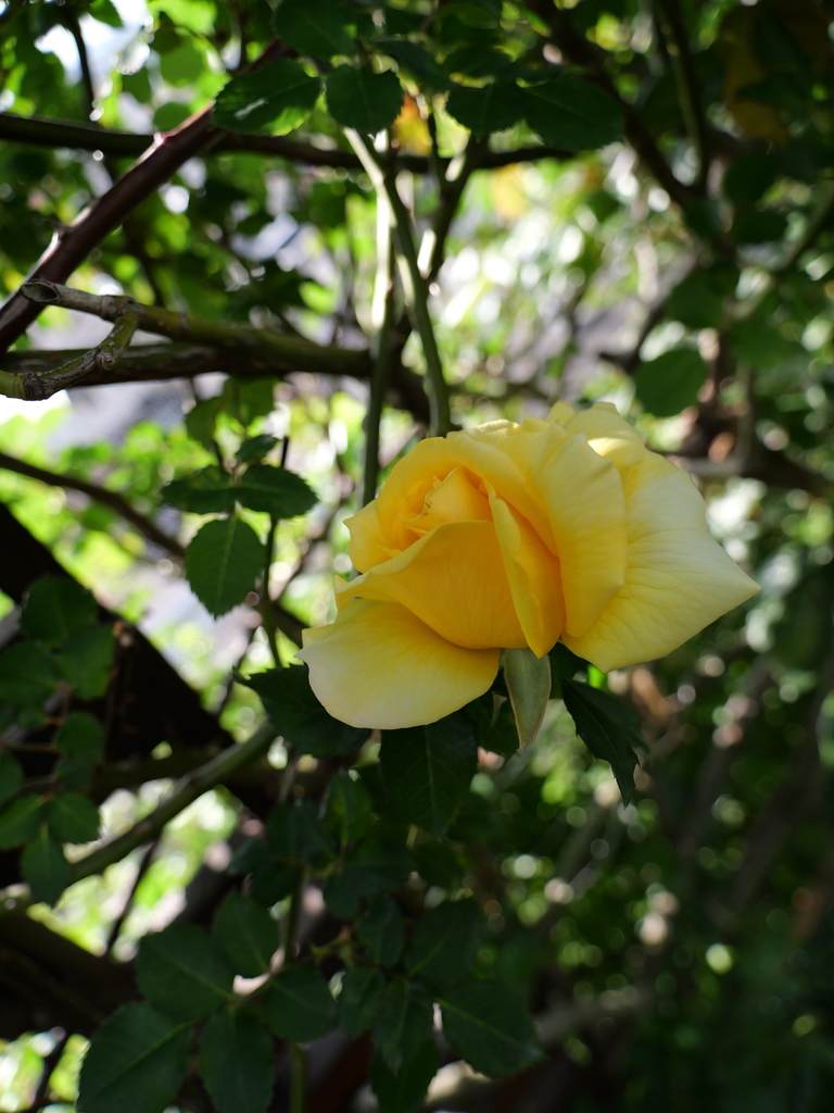 2025-04-21 07_33№(0230).JPG