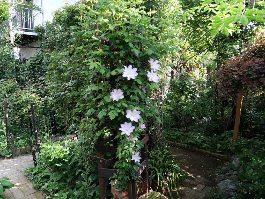 2025-04-21 07_33№(0237).JPG