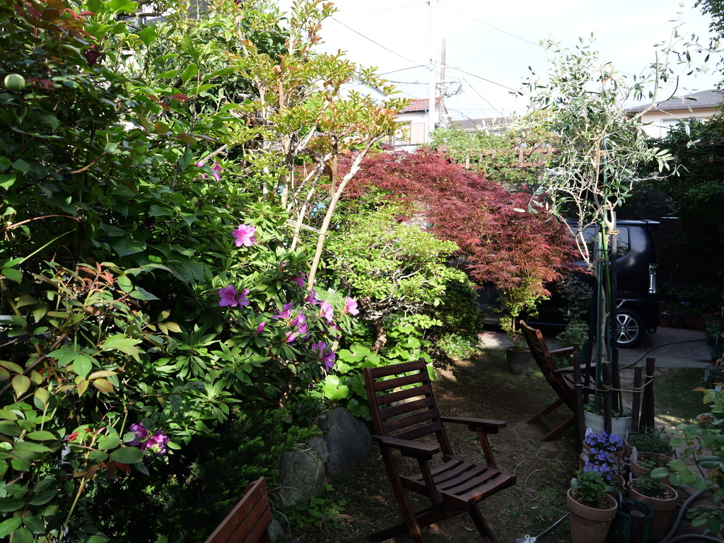 2025-04-21 07_35№(0264).JPG