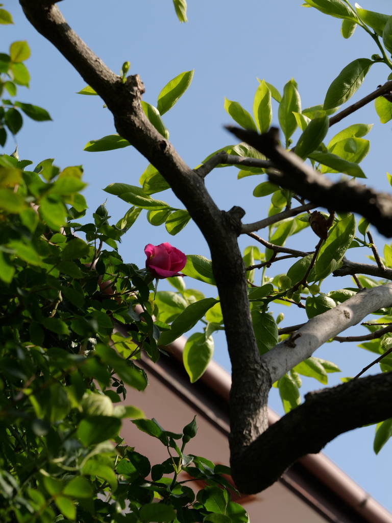 2025-04-22 08_04№(0137).JPG