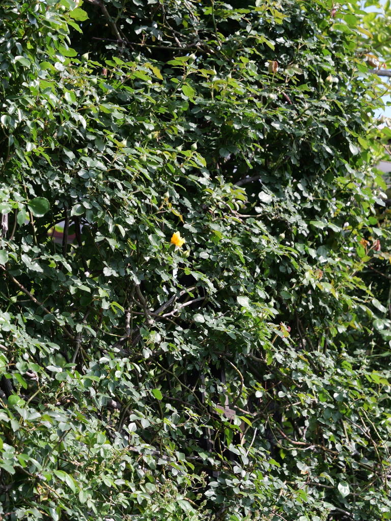 2025-04-22 08_08№(0155).JPG