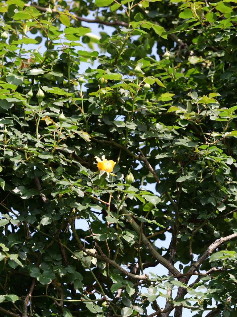 2025-04-22 08_09№(0157).JPG