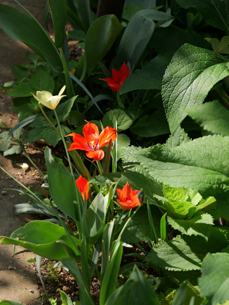 2025-04-22 08_13№(0263).JPG