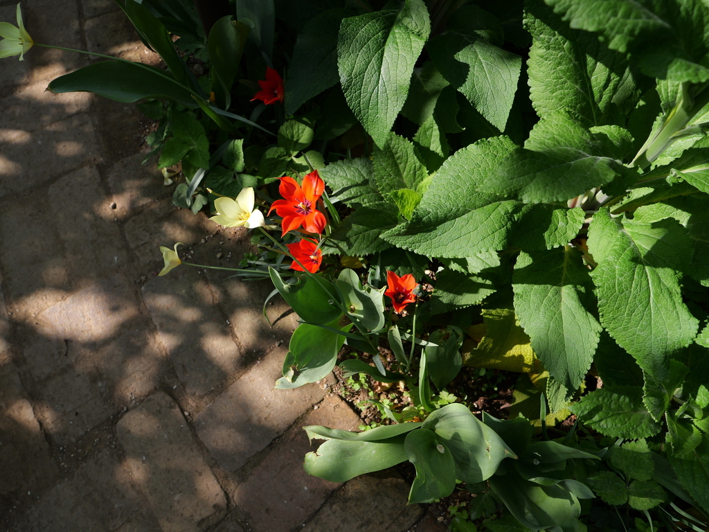 2025-04-22 08_13№(0267).JPG