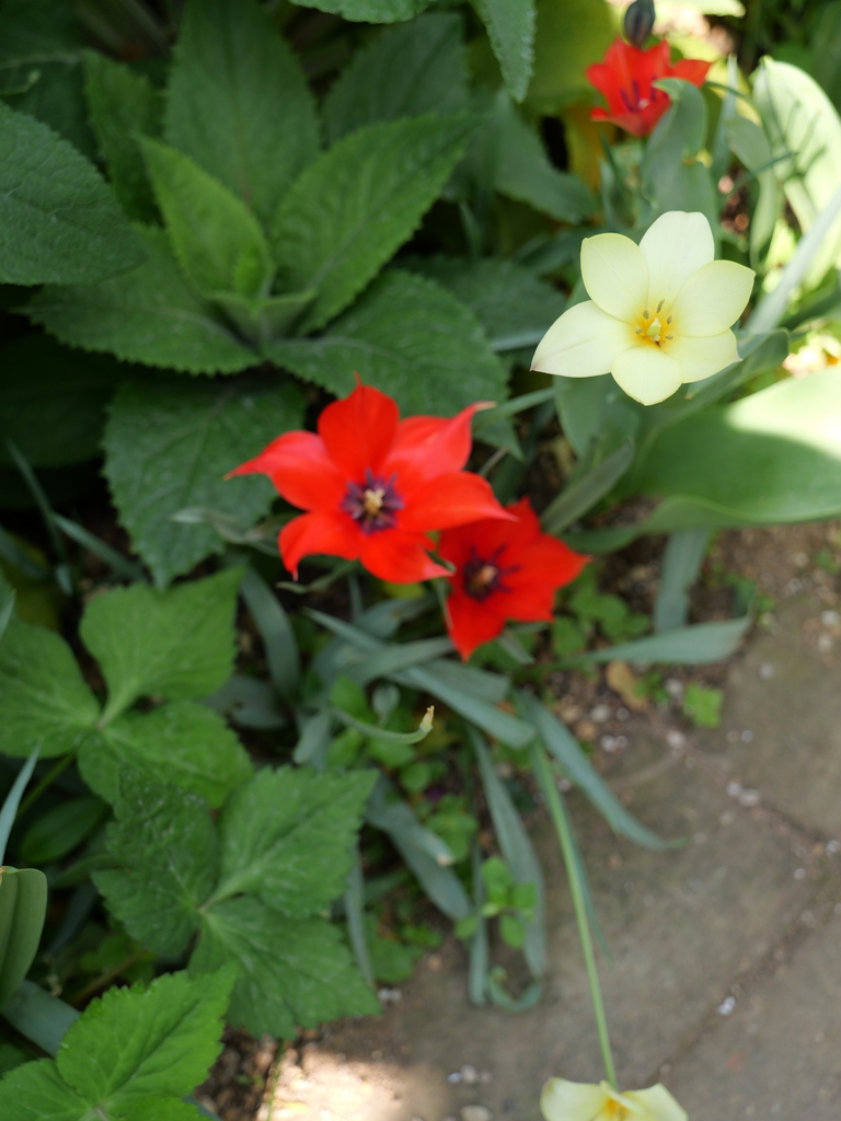 2025-04-22 08_13№(0273).JPG