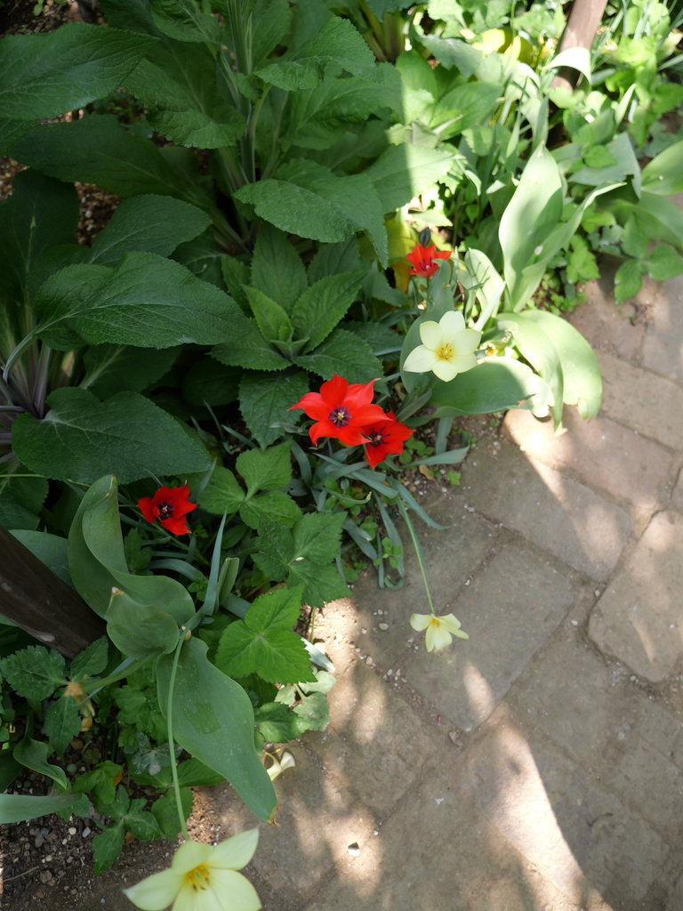 2025-04-22 08_13№(0274).JPG