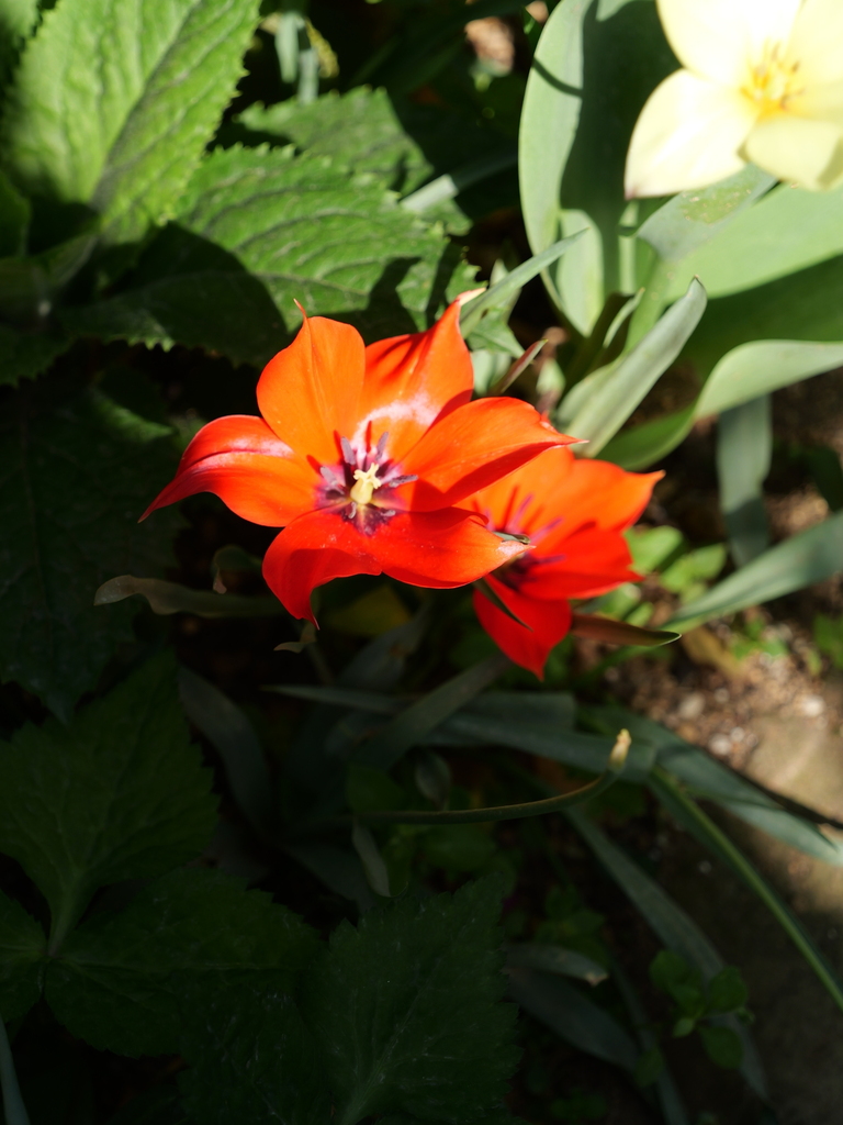 2025-04-22 08_13№(0275).JPG