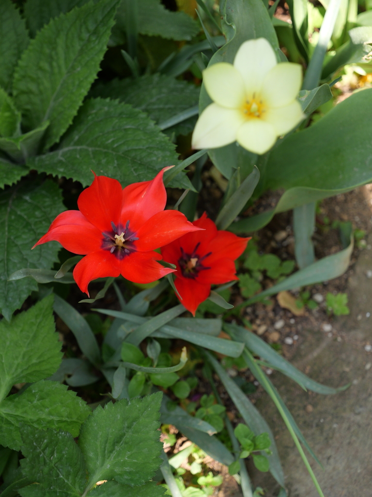 2025-04-22 08_13№(0276).JPG