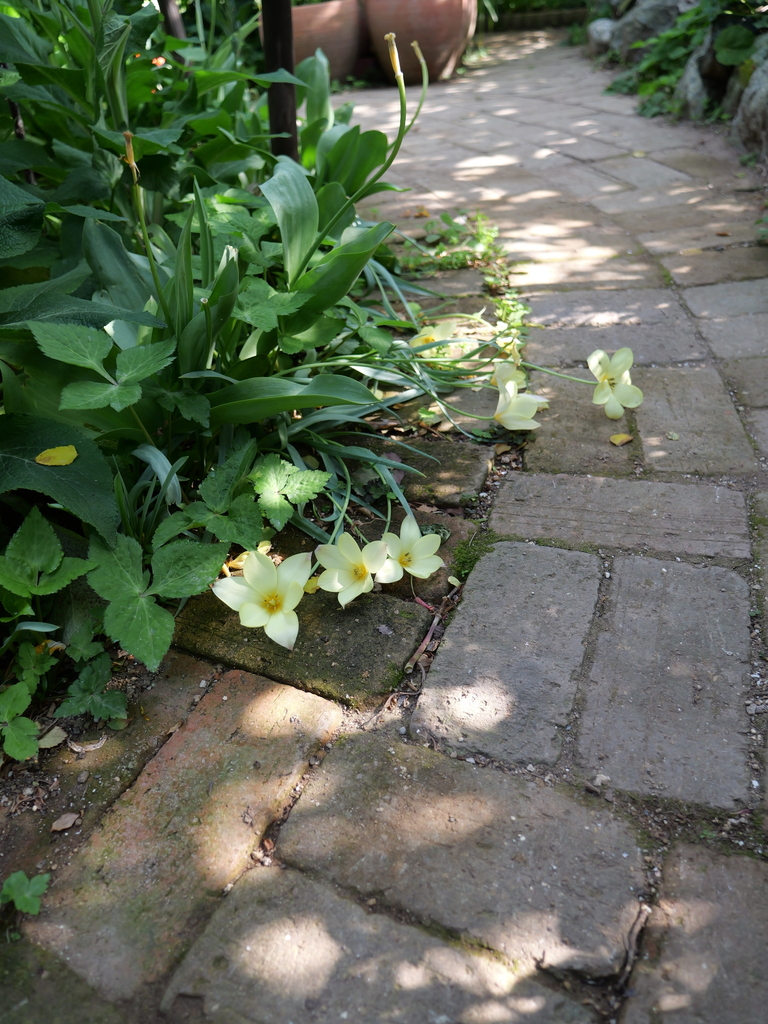2025-04-22 08_14№(0287).JPG