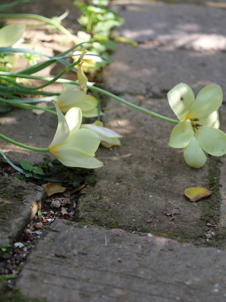 2025-04-22 08_14№(0289).JPG