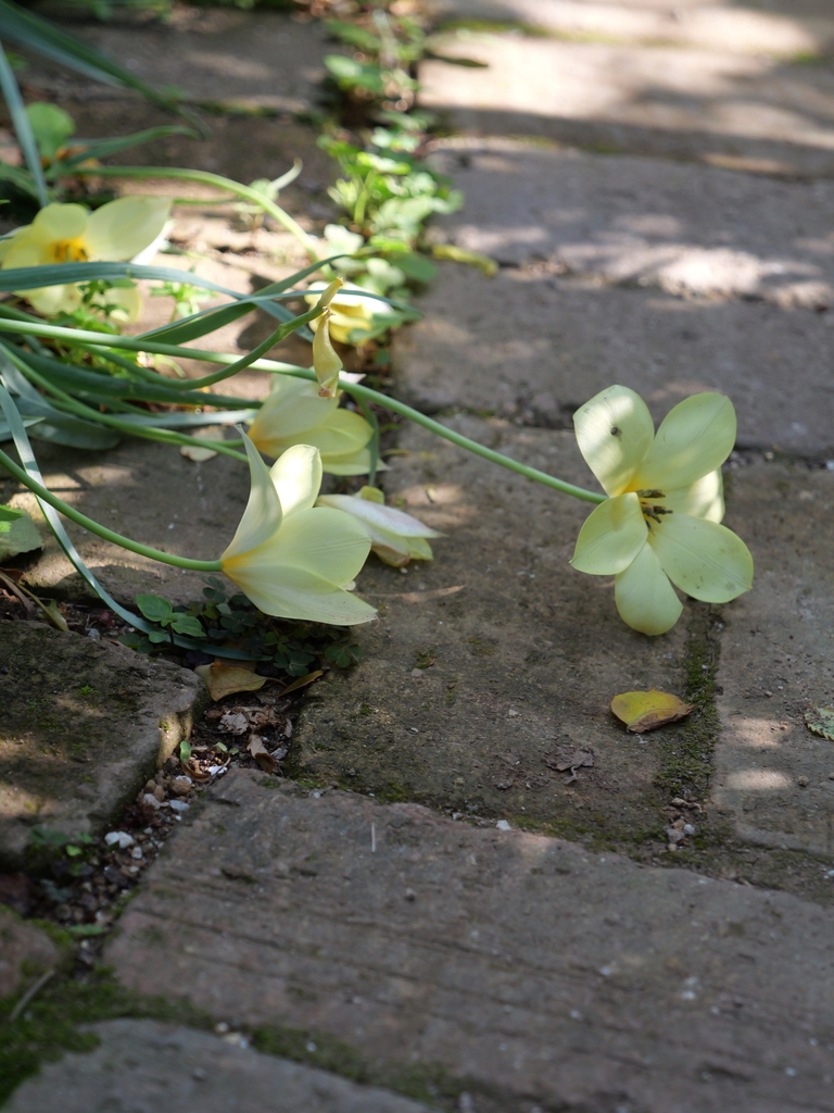 2025-04-22 08_14№(0290).JPG