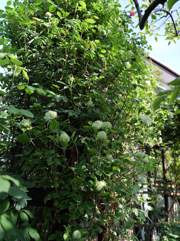 2025-04-22 08_18№(0363).JPG