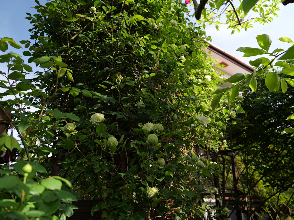 2025-04-22 08_18№(0364).JPG