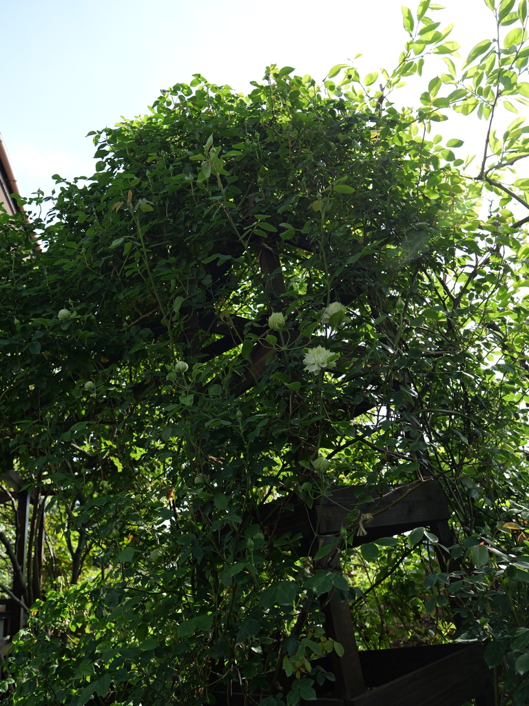 2025-04-22 08_18№(0374).JPG