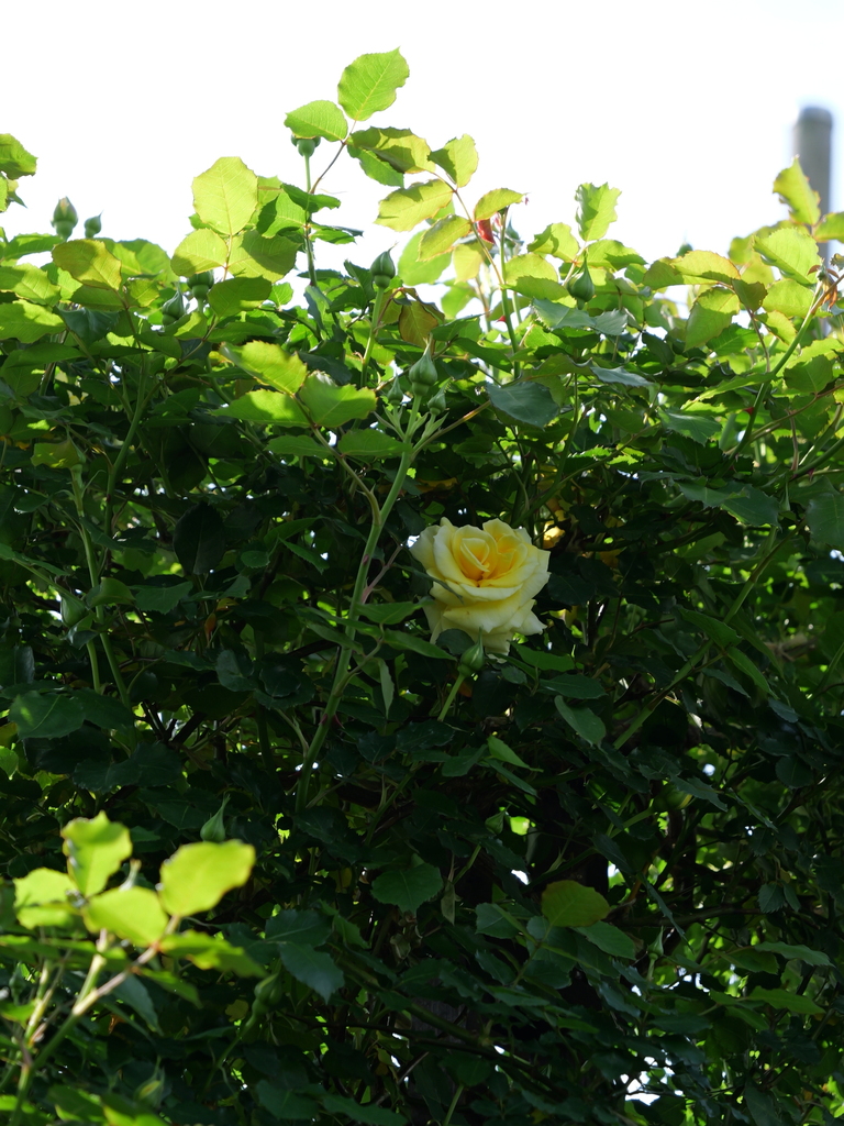 2025-04-22 08_18№(0383).JPG