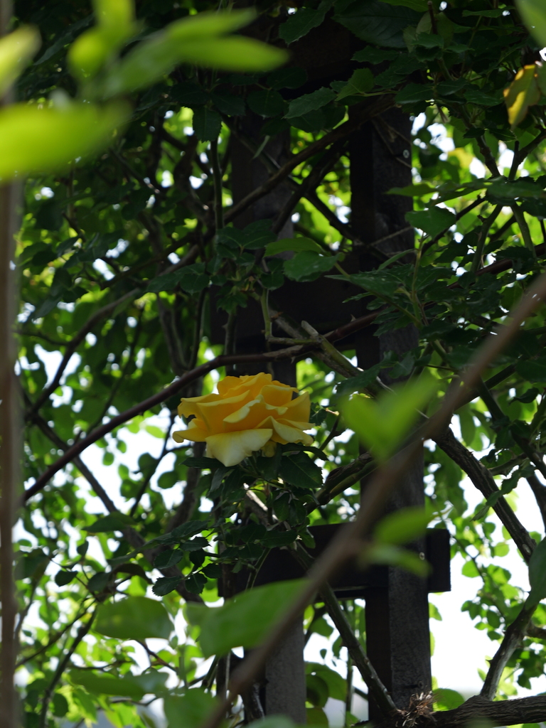 2025-04-22 08_18№(0389).JPG