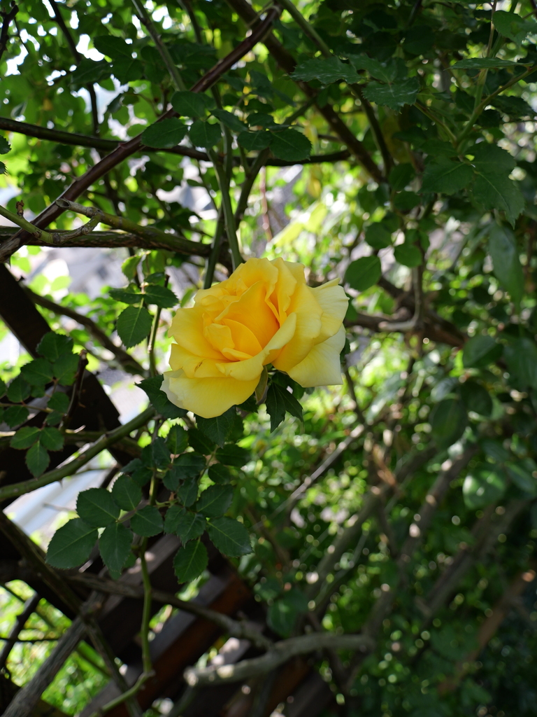 2025-04-22 08_19№(0403).JPG