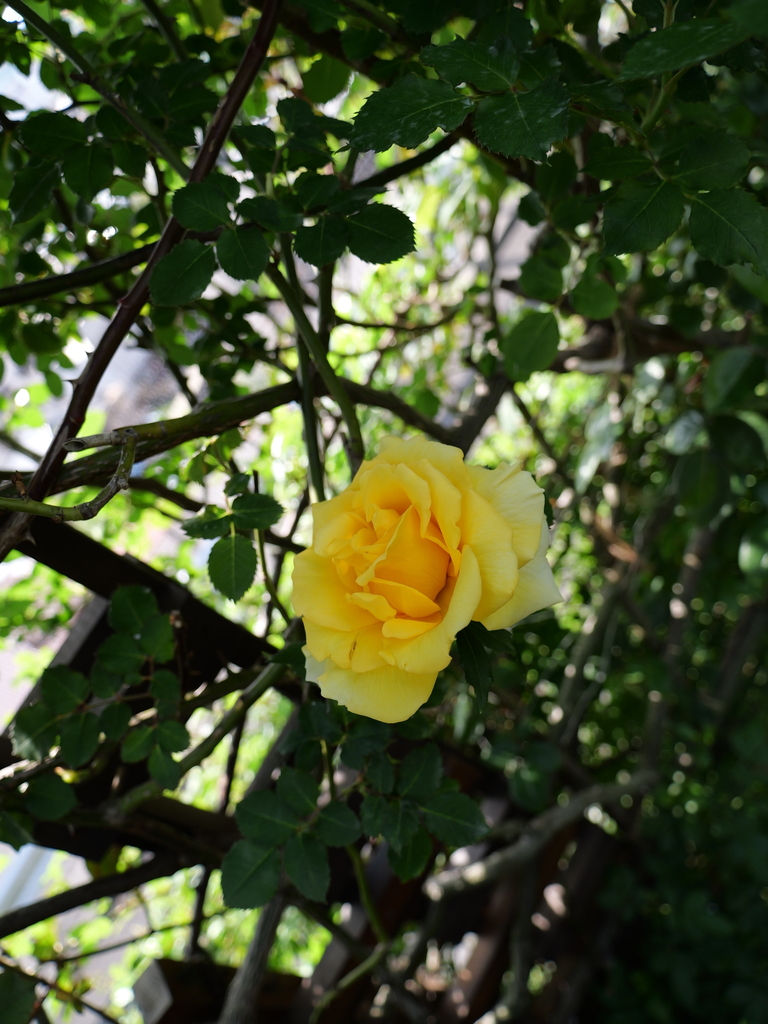 2025-04-22 08_19№(0405).JPG