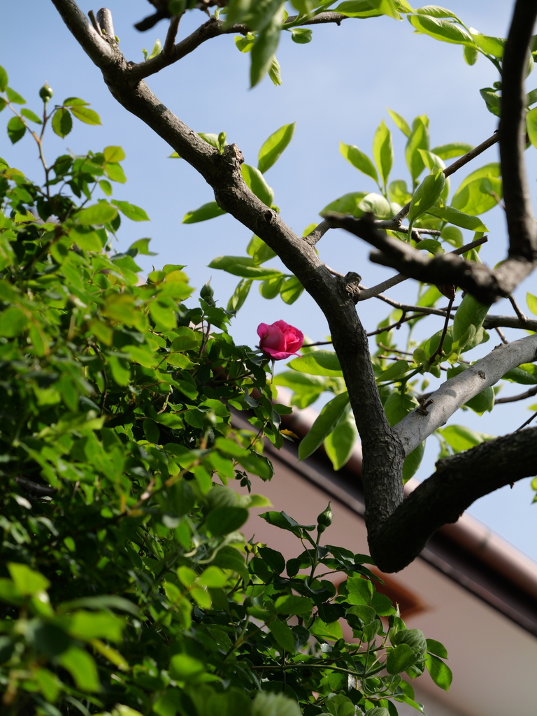 2025-04-22 08_19№(0407).JPG