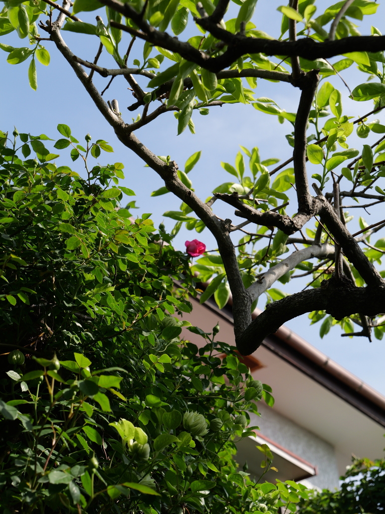 2025-04-22 08_19№(0408).JPG