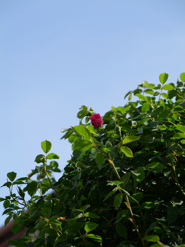 2025-04-22 08_19№(0410).JPG