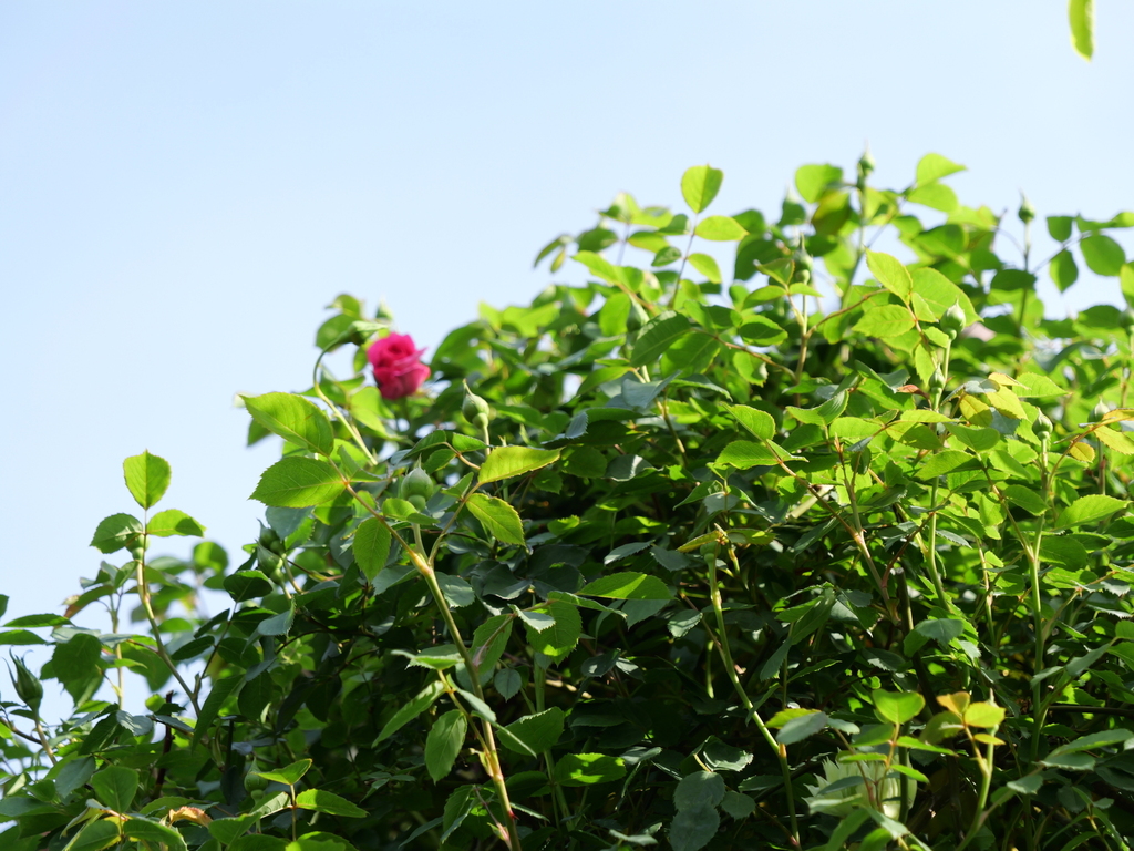 2025-04-22 08_19№(0411).JPG