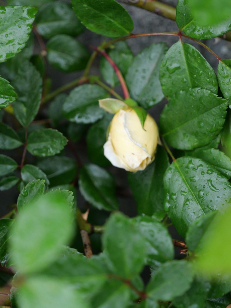 2025-04-23 08_23№(0053).JPG
