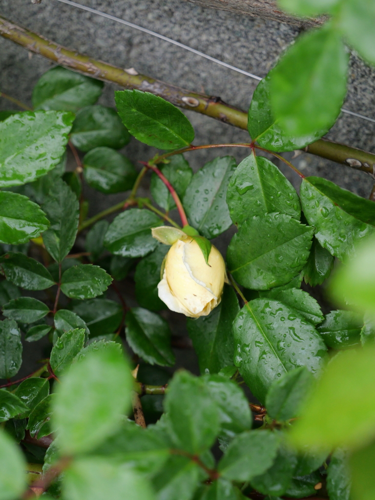 2025-04-23 08_23№(0054).JPG