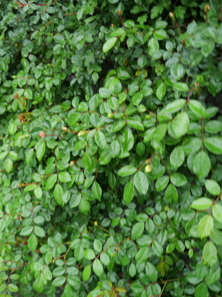 2025-04-23 08_23№(0057).JPG