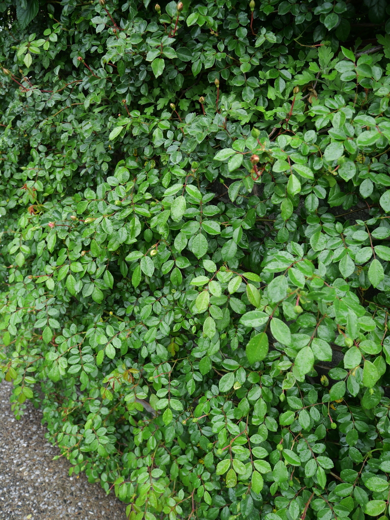 2025-04-23 08_23№(0058).JPG