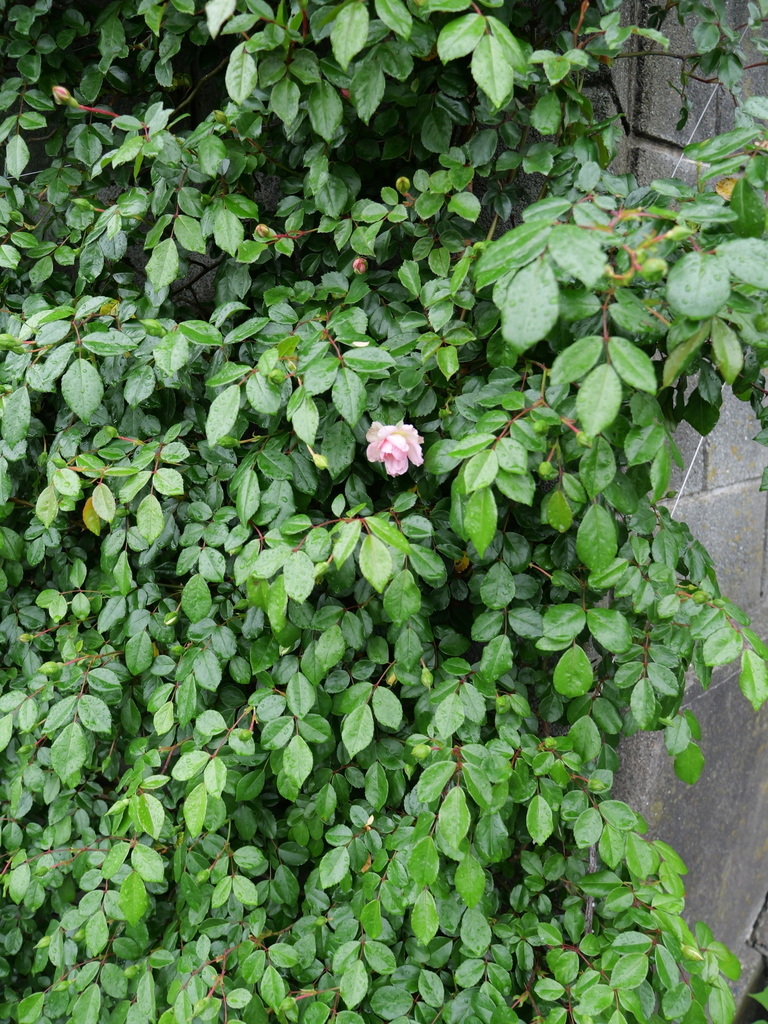 2025-04-23 08_24№(0063).JPG