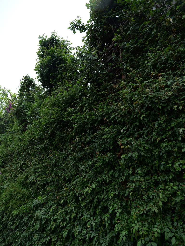 2025-04-23 08_24№(0078).JPG