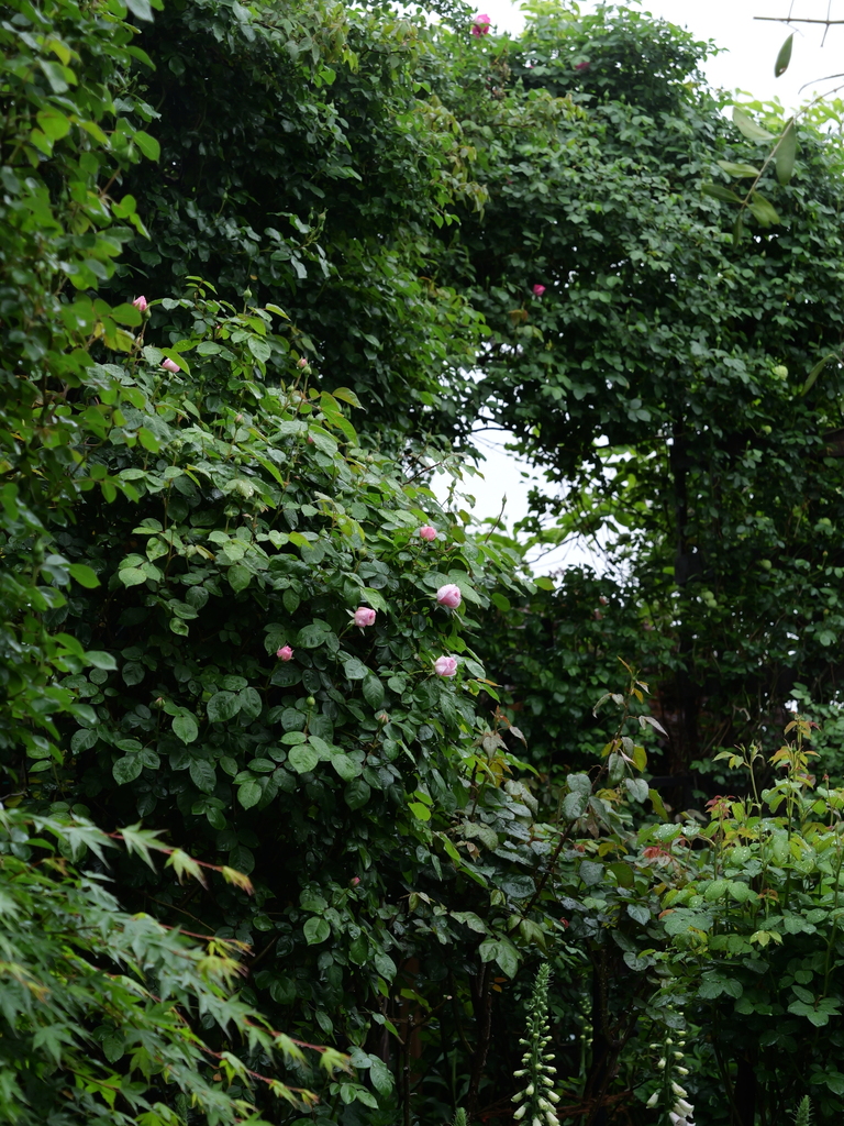 2025-04-23 08_25№(0094).JPG