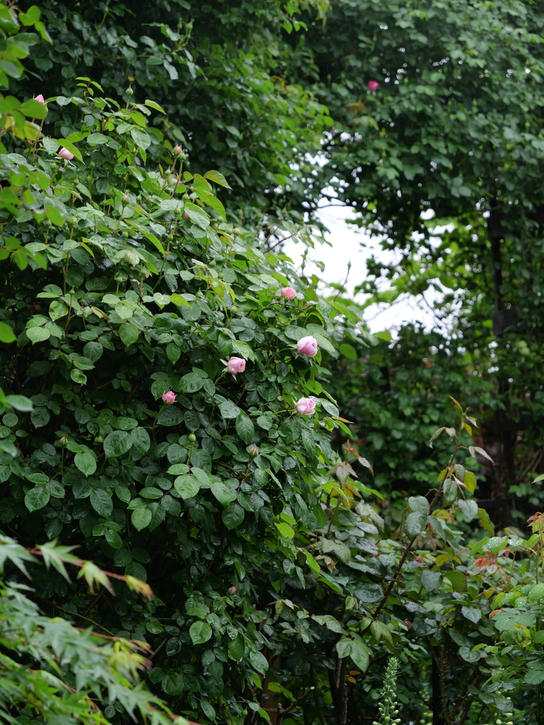 2025-04-23 08_25№(0095).JPG
