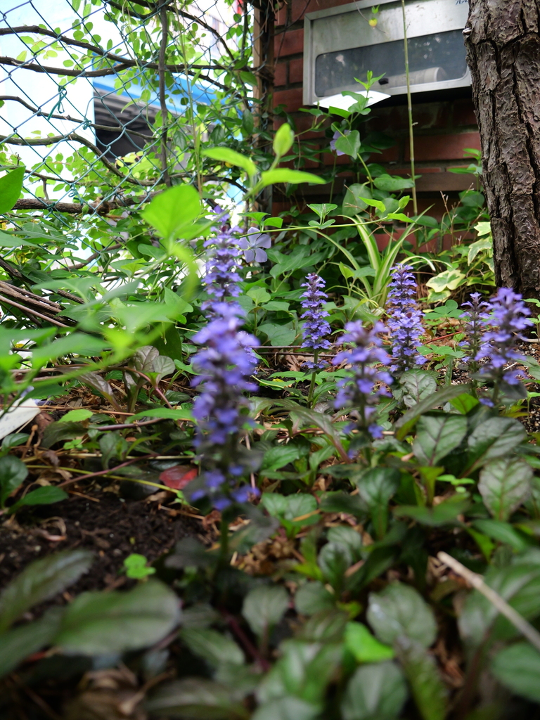 2025-04-25 07_46№(0178).JPG