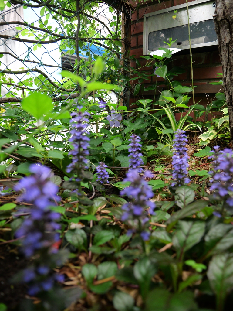 2025-04-25 07_46№(0179).JPG