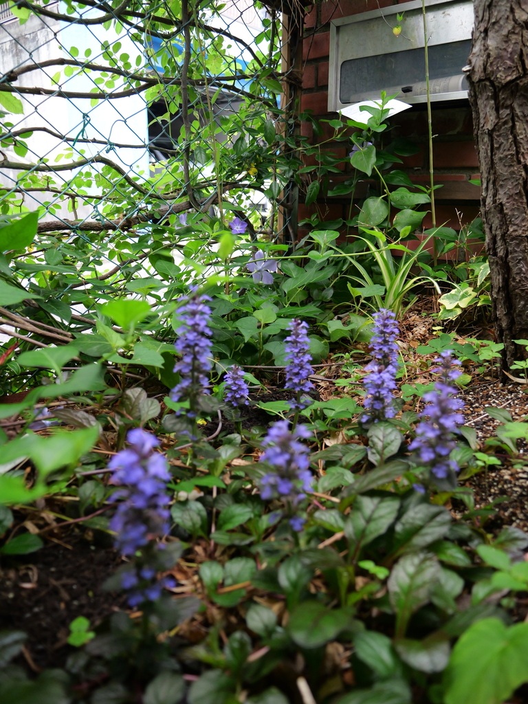 2025-04-25 07_46№(0182).JPG