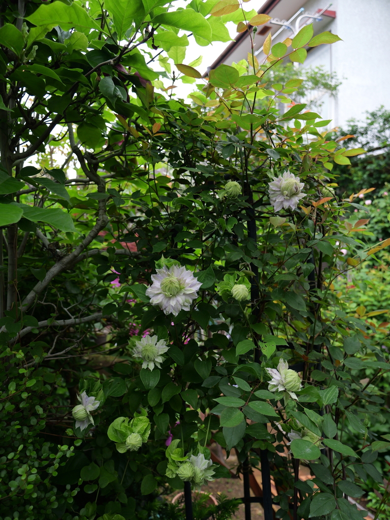 2025-04-25 07_52№(0308).JPG
