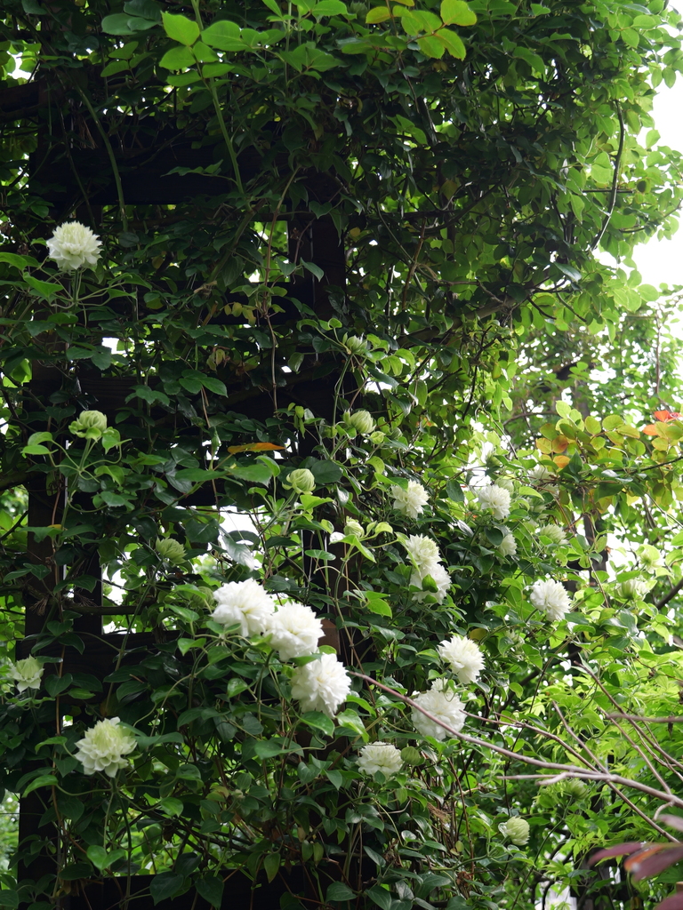 2025-04-26 07_40№(0310).JPG