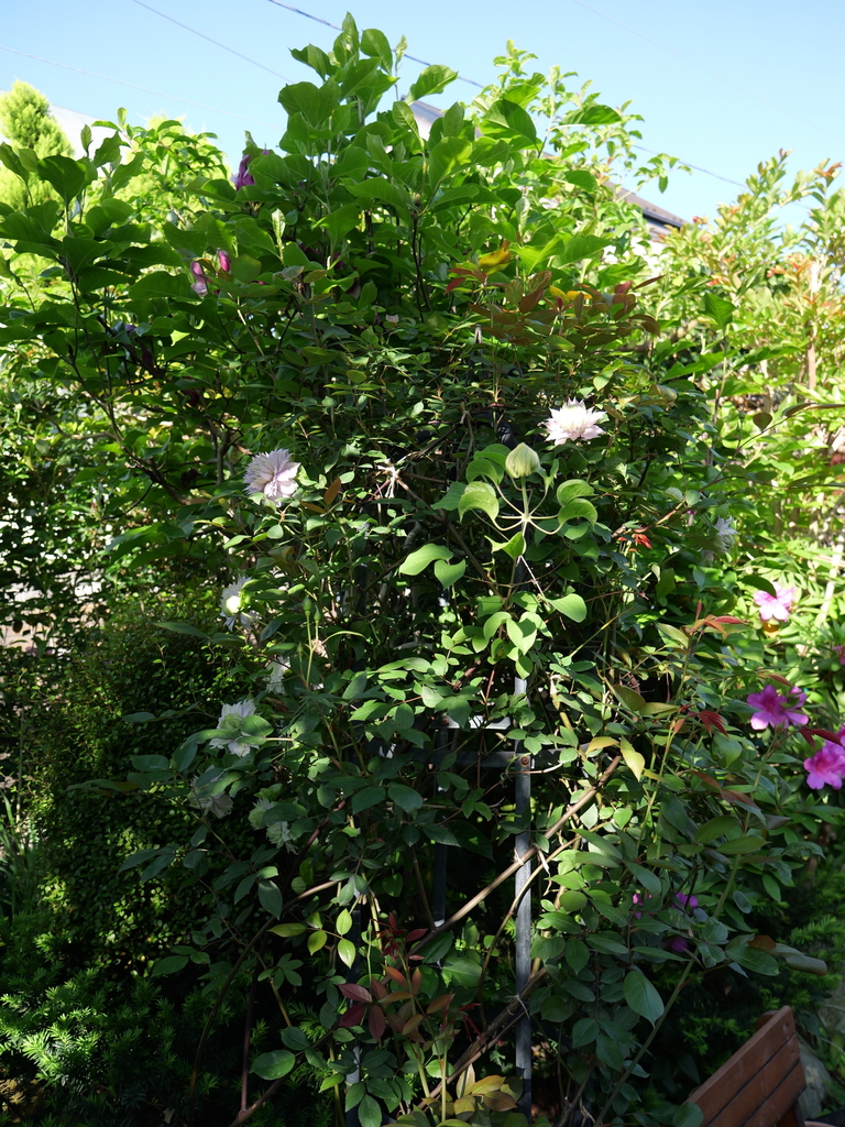 2025-04-27 07_29№(0269).JPG
