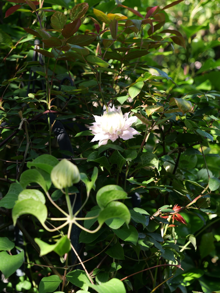 2025-04-27 07_29№(0270).JPG