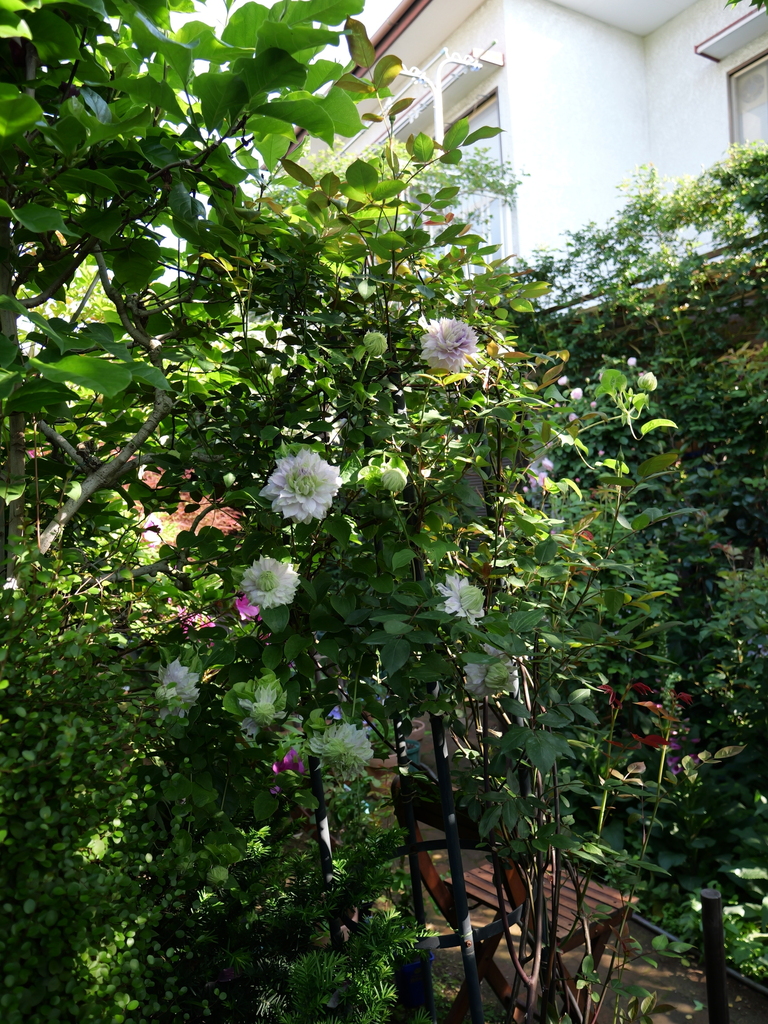 2025-04-27 07_29№(0271).JPG